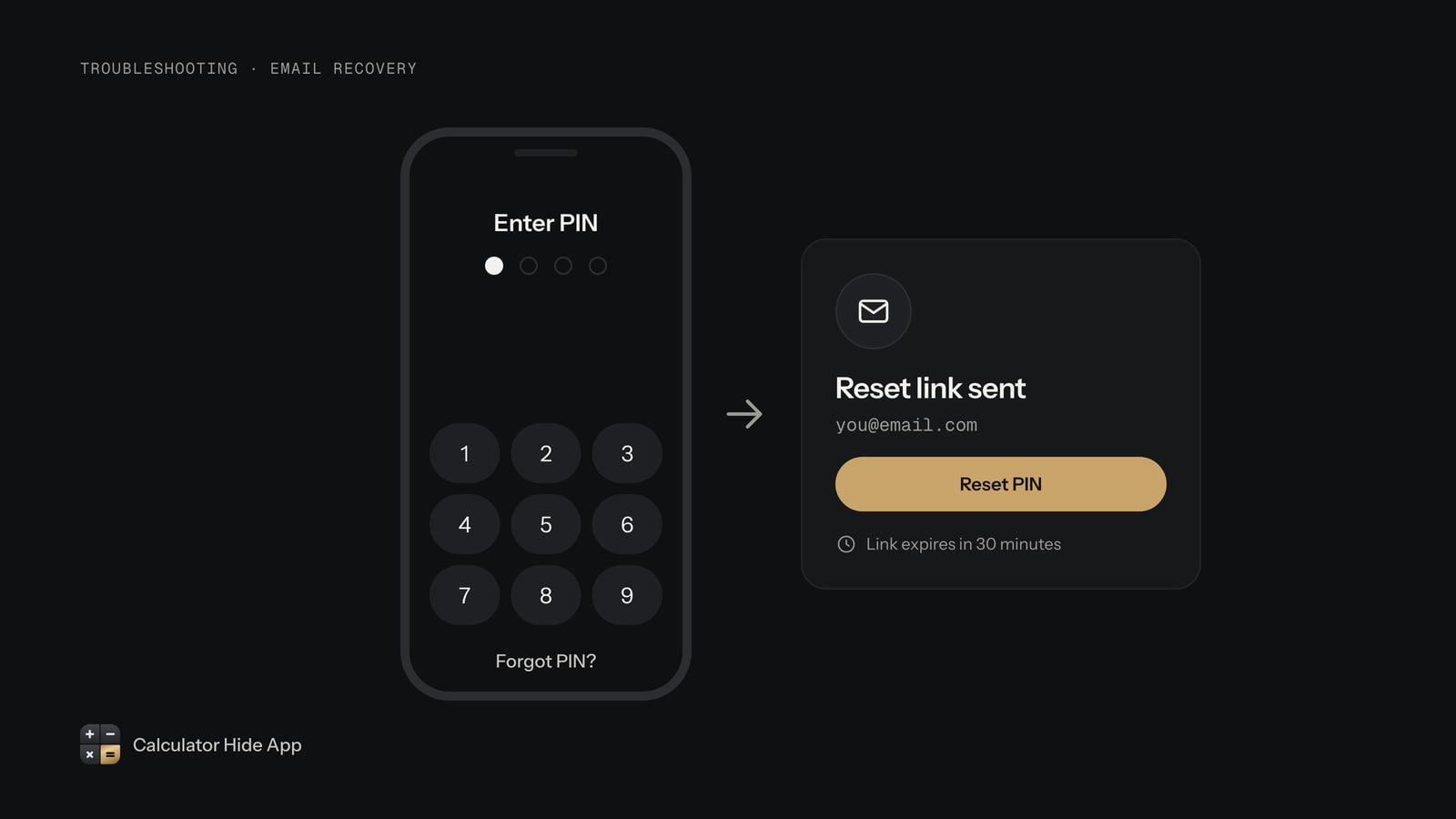 Forgot PIN screen beside a reset link sent by email that expires in 30 minutes
